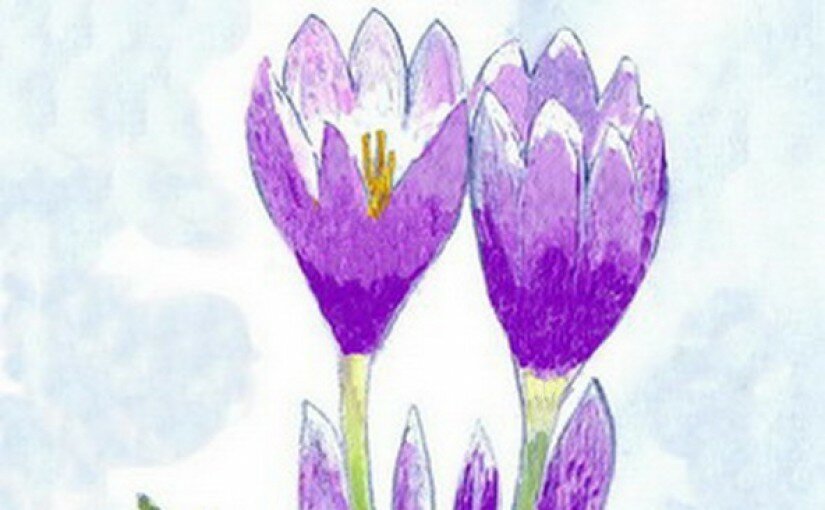 И всё ж она на свете есть, и случаев таких не счесть